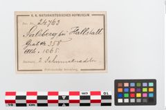 Etikett zu Bronzedoppelspiralkopfnadel (NHMW-PRAE-024763)